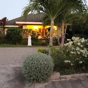 The Artist Place At Estates St Ann , Richmond Jamaica
